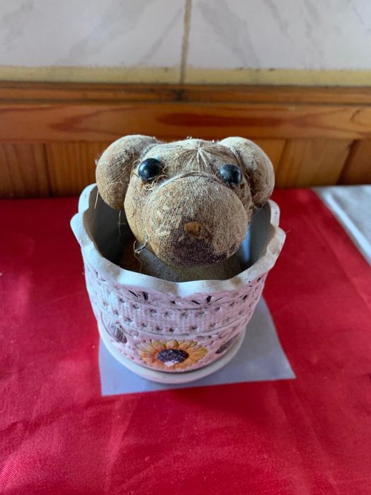 Чичко тревичко кученце