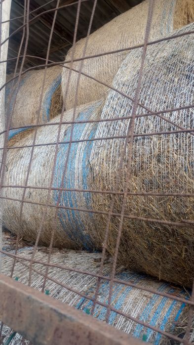 Vând baloți de lucernă și fân