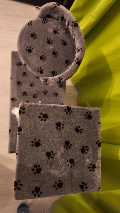 Casuta pentru pisici