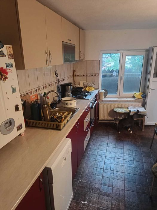 House in Nicolae Balcescu - View 4