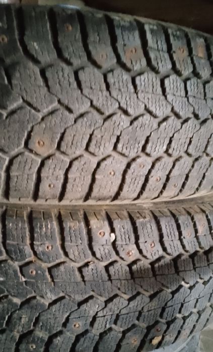 Продам шины на   15/65/205