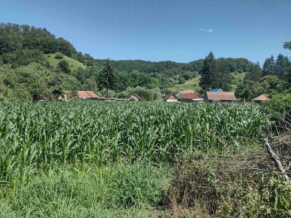Casa de vanzare impreuna cu 2 terenuri intravilan , formand un tot unitar