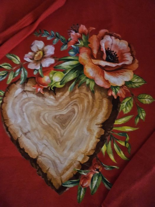 Суитчери S, XS различни мотиви