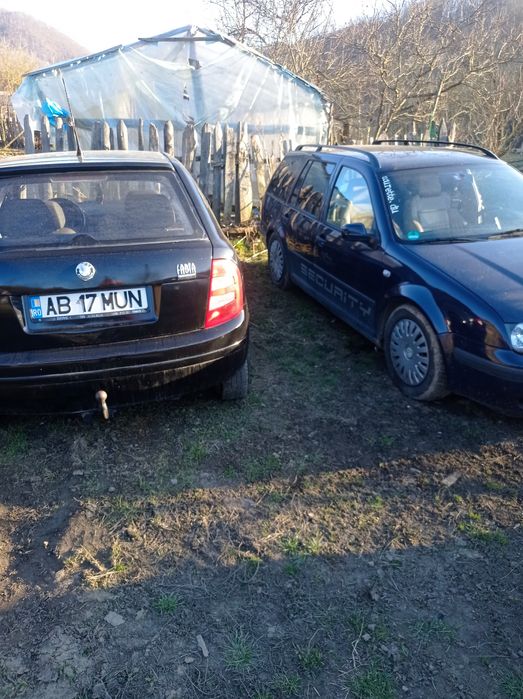 Se vinde Wolfgang Bora cu acte la zi