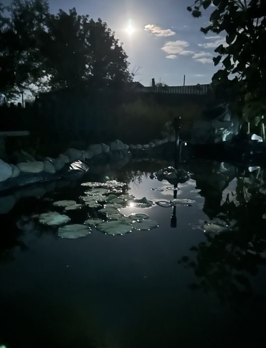 Жері үлкен үй сатылады