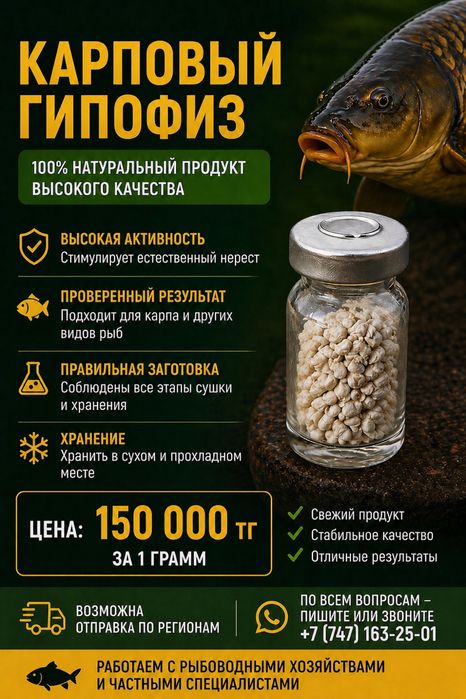 Гипофиз Карповый
