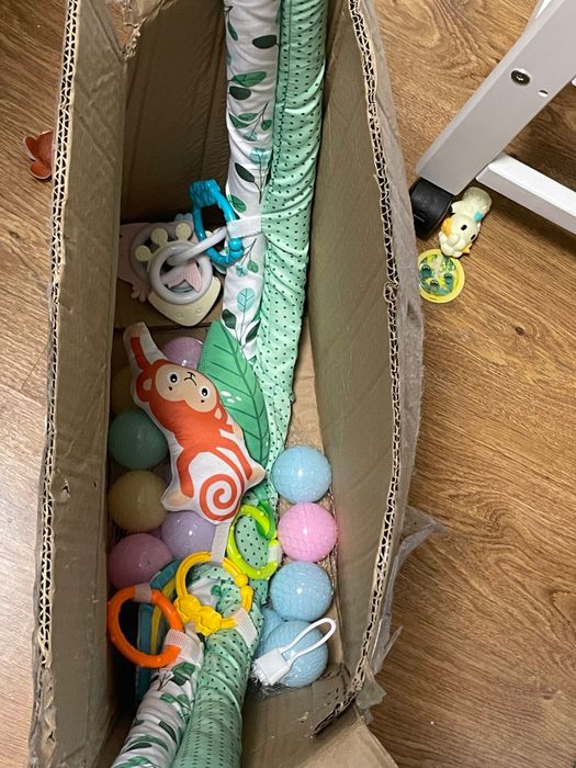 Saltea activități noua