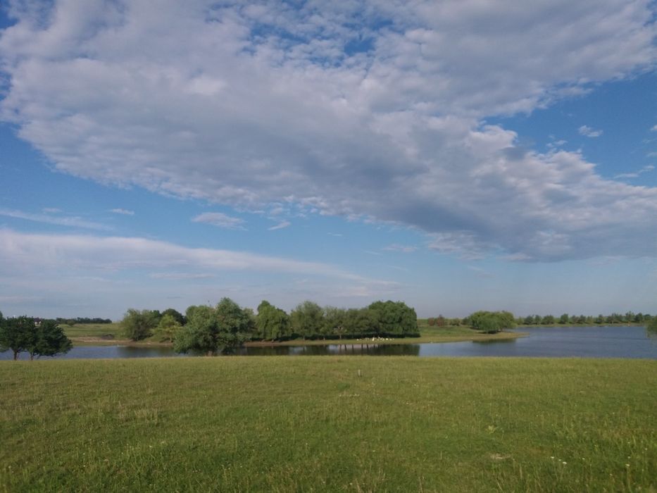 Teren de vânzare 400 mp  in Dobreni, lângă comuna Berceni