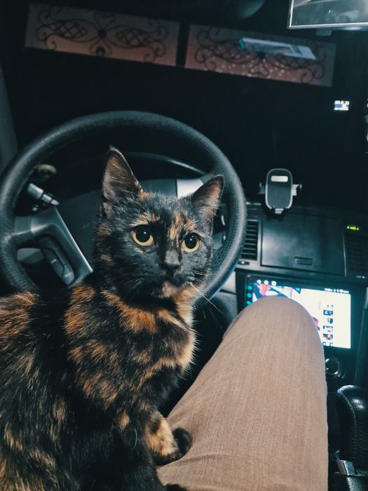 Чевролет епика сотилади