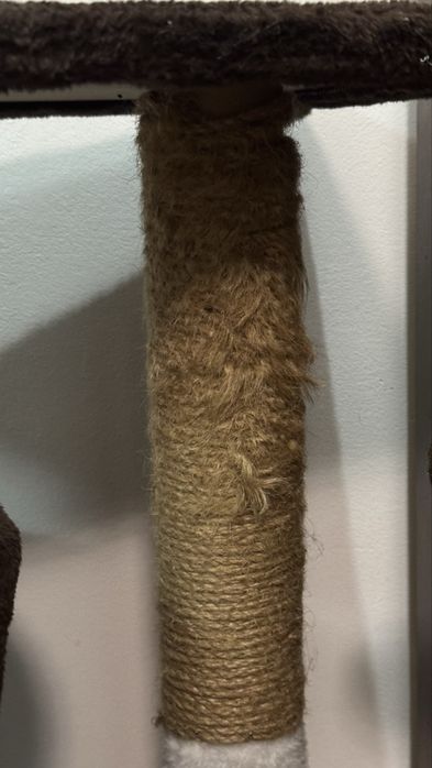 Ansamblu pisici asimetric