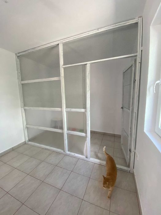 Cazare / Pensiune Pisici