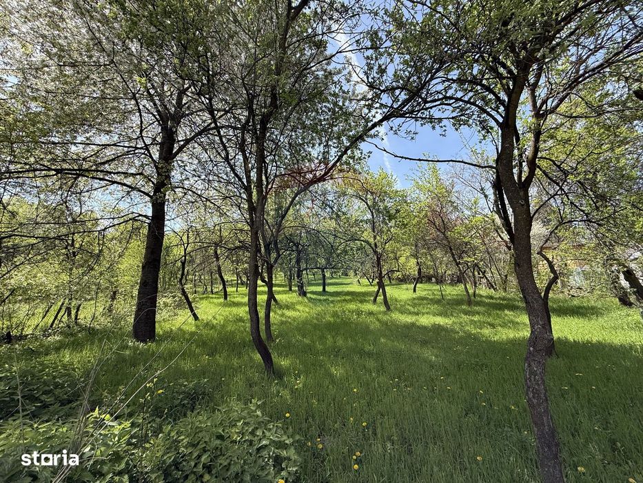 Casă  de vânzare în zona Câmpulung înconjurată de natura