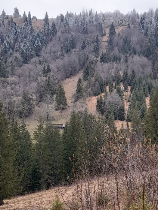 Vand teren extravilan in comuna Brodina, judetul Suceava