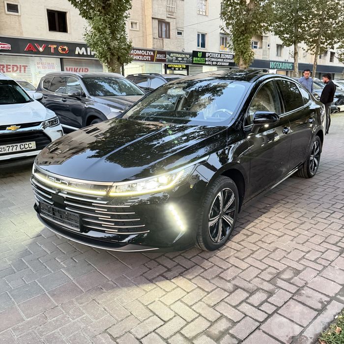 Byd Chazor Full 4-pozitsiya