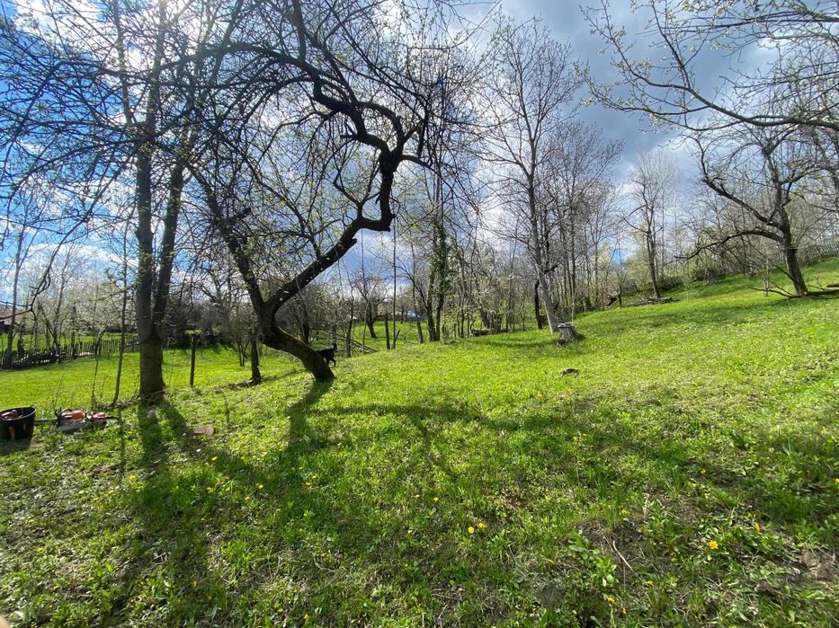 Teren Sat Pietriceaua Comuna Brebu