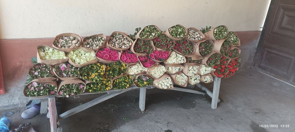 Atirgul koʻchatlari bor sotiladi 16 hil tayor pachkalap koʻmilgan