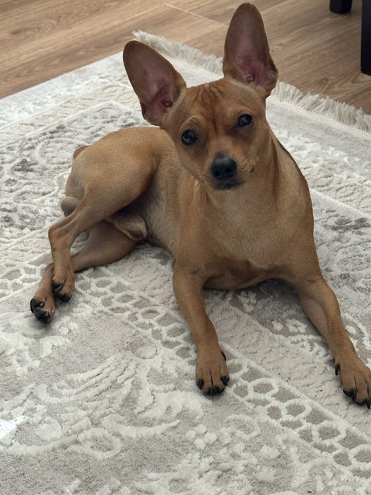 Мальчик ищет девочку