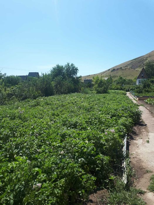 Дача СПП Темиртау торг