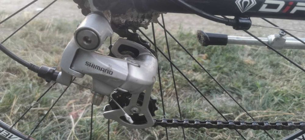 Cursiera Soria Diamond Ultra (S 50cm)