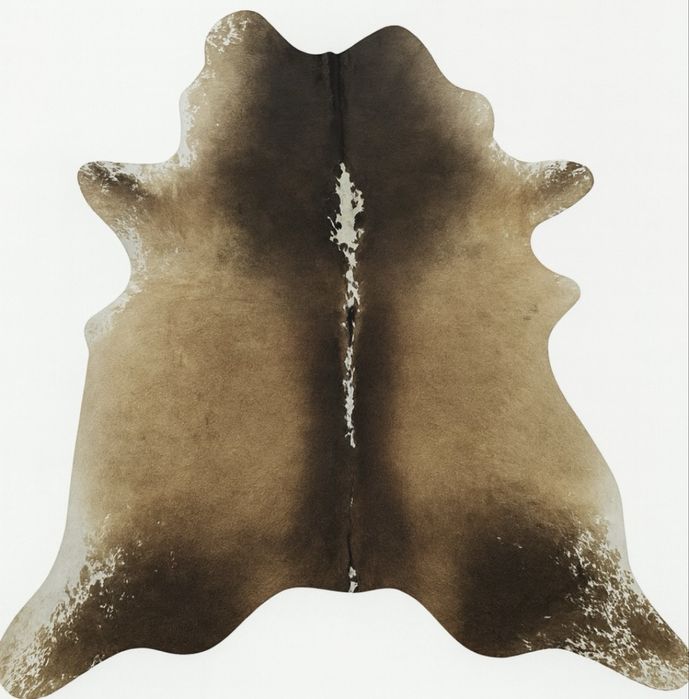 Поодам выделку шкуры коровы