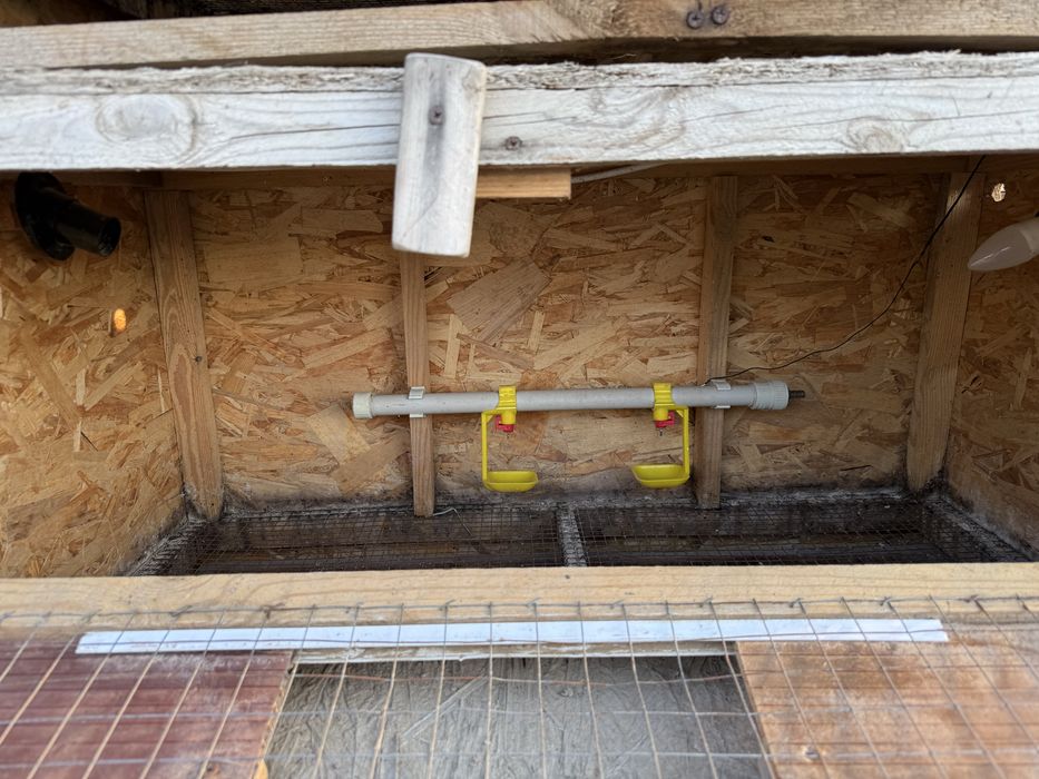 Брудер для цыплят