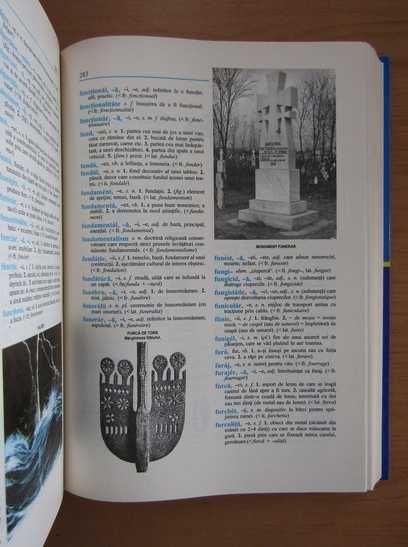 DEIR Dictionar explicativ ilustrat al Limbii Române studiu elevi studenti