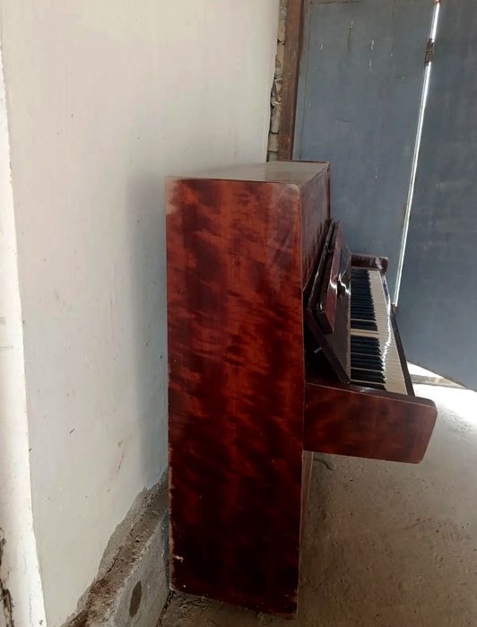 Piyanina cccr belarus