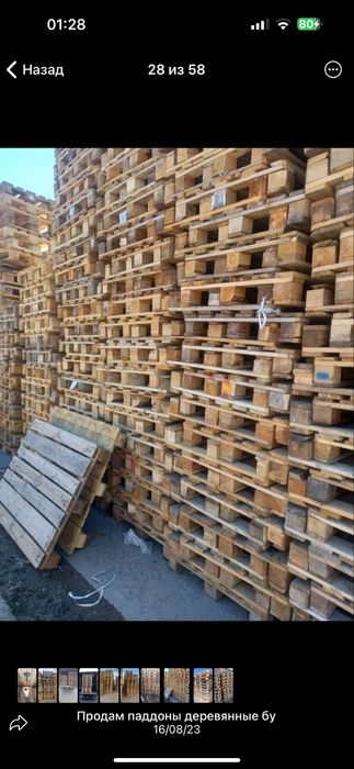 ПАДДОН оптом ва донага