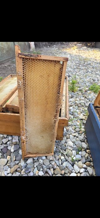 Vând rame 1/2 600 buc pret 8 lei/buc negociabil la toata cantitatea
Pr