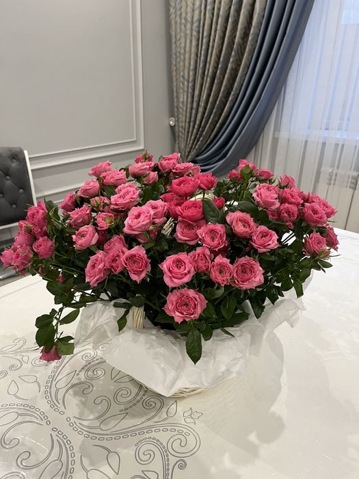 Кустовые розы, красные розы