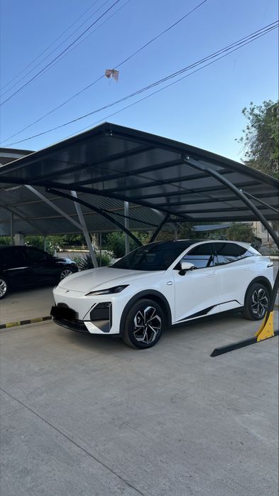 Leksan. Лексан (Поликорбанат). Навес