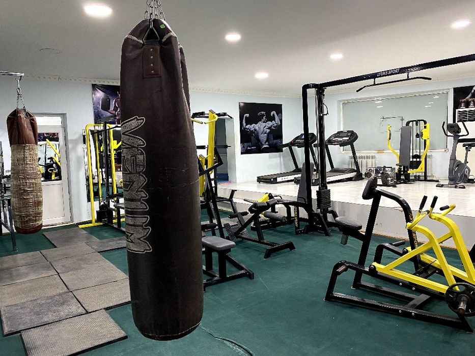 Trinajorlar optim sotaman