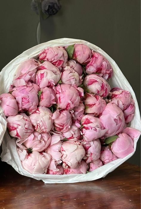 Пионы Голландские Розы