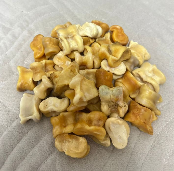 Асық сатамын. Астана, Қарағанды қаласы.