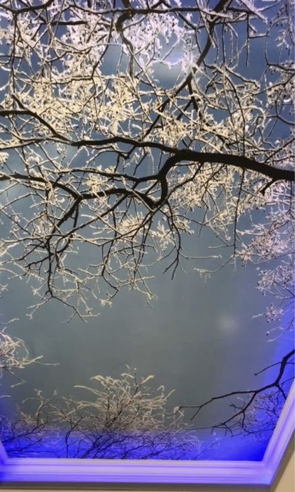 Natyajnoy potolok | Натяжные потолки | Натяжной потолок | usta |NT-10