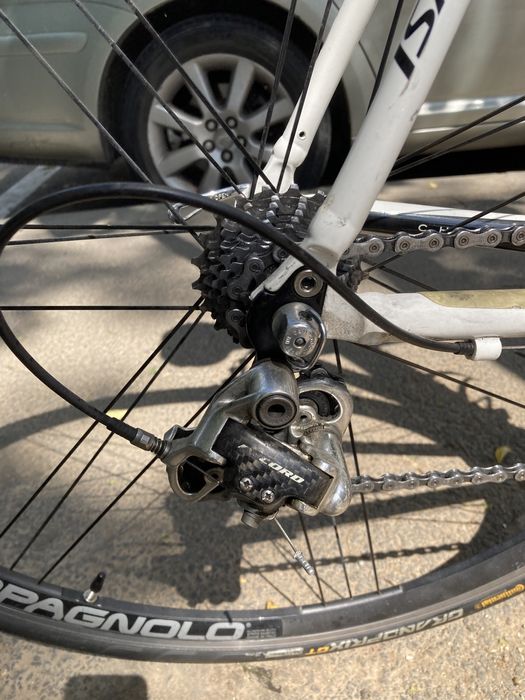 Cursiera  full campagnolo record ST 58 marime  L XL