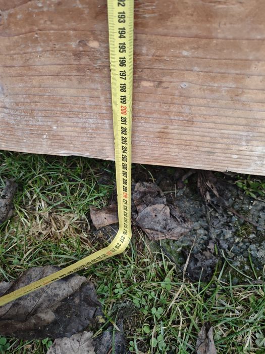 Масивни врати 3бр.плюс една подарък