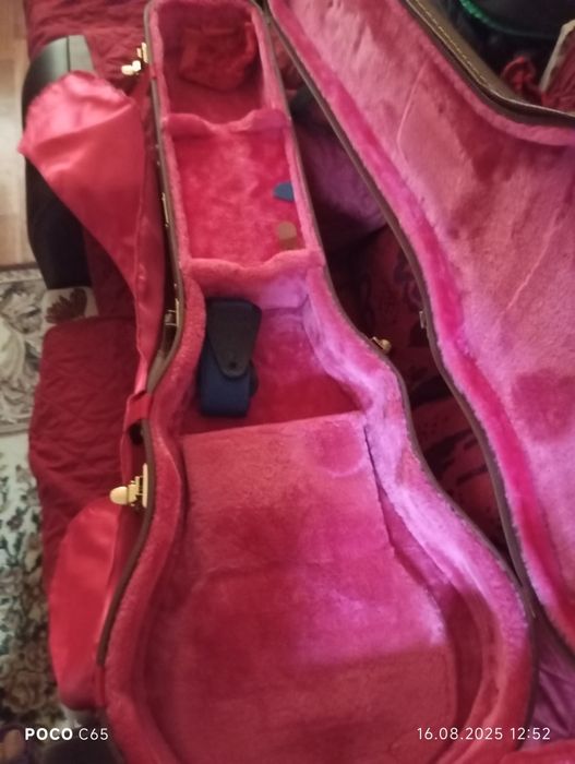 Кейс для электрогитары и электрогитара