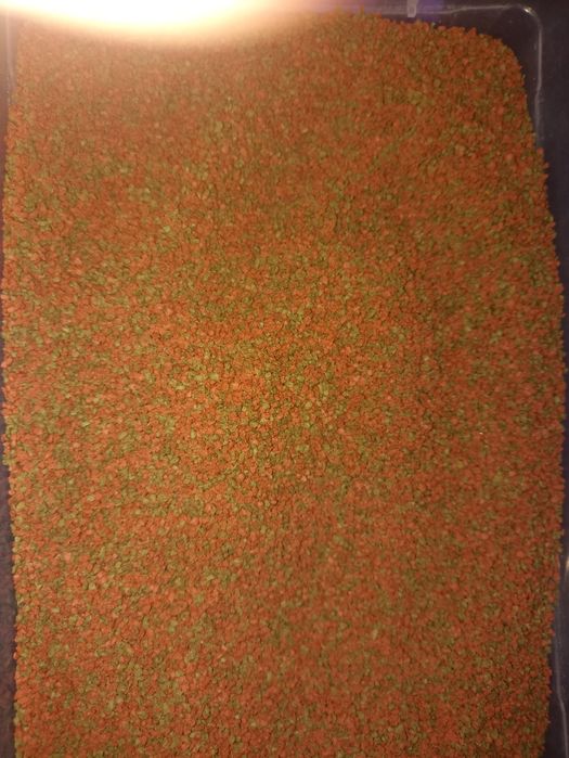 Сухой голландский витаминизированный корм для всех видов рыб