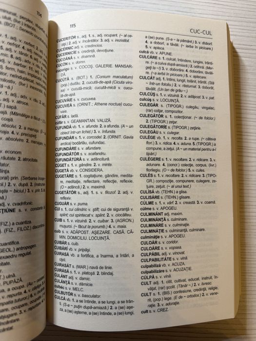 Dictionar de sinonime