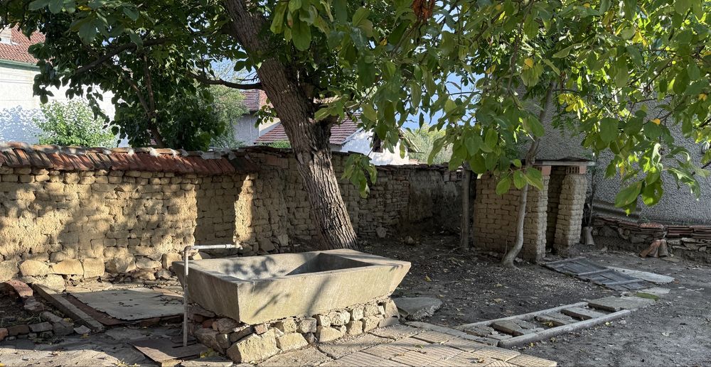 Продавам орехово дърво в двор на къща. Прав ствол, здраво.