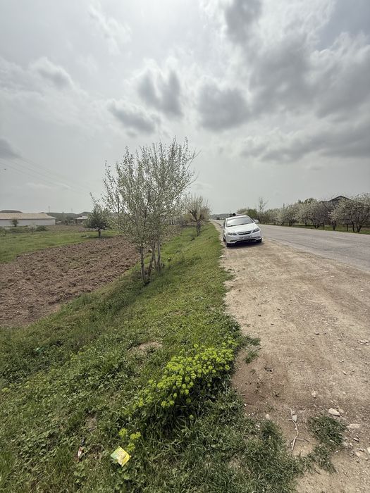 45 сотих йер йулни устида иштихон чимкургонда кушроботни йулида