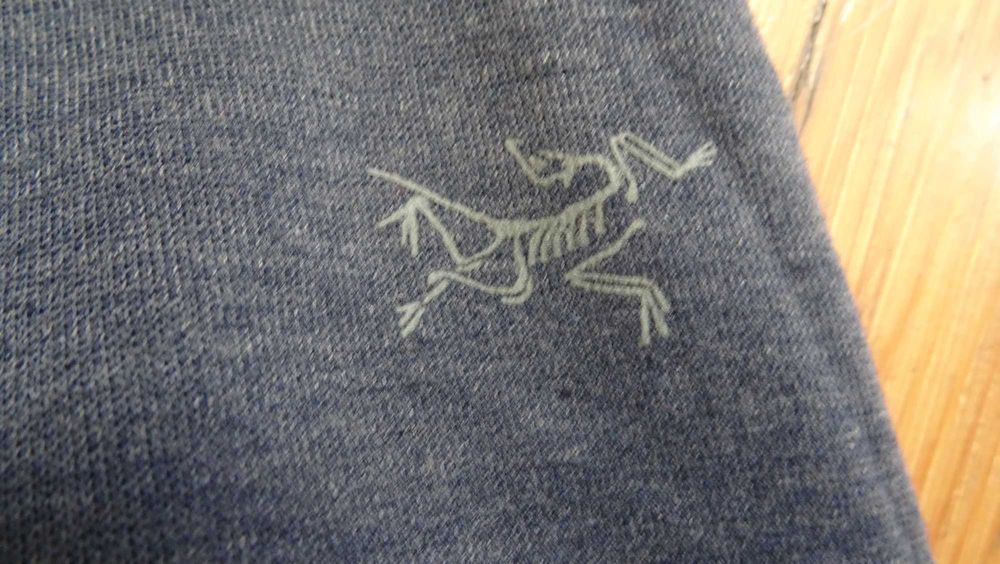 Arcteryx M dallen fleece pullover