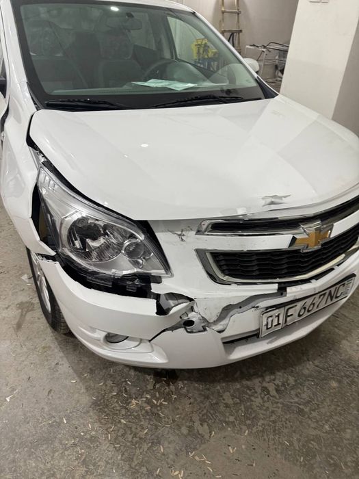 koblt 2026 yil srochna sotiladi