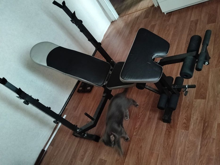 Скамейка для жима лёжа