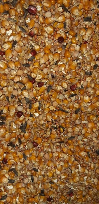 Lucerna , ștroturi peletate