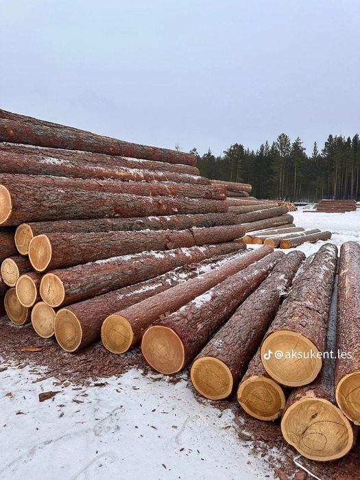 Продам доски необрезной ,обрезной 6метровые