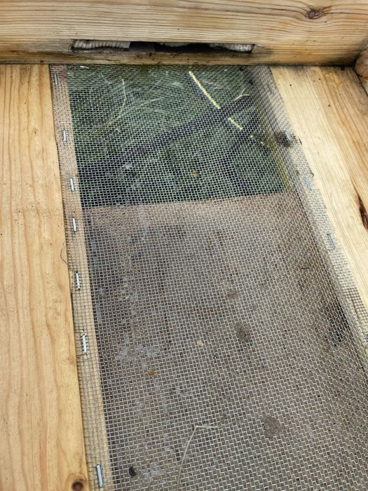 Ульи для пчел, ара жәшіктері