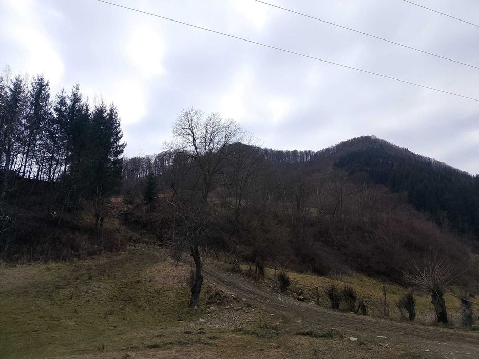 Teren Riu Sadului - 2 ha  Acces stradal , zona cu potential turistic