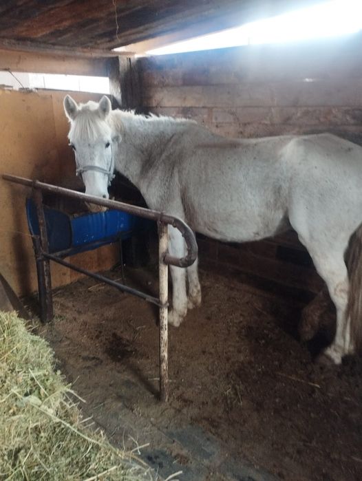 Рврвоаоаоаоаоклв